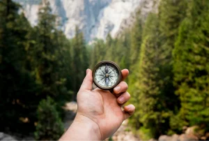 Ein Kompass in der Natur als Symbolbild für Purpose Driven Work
